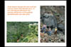 Geochem11
